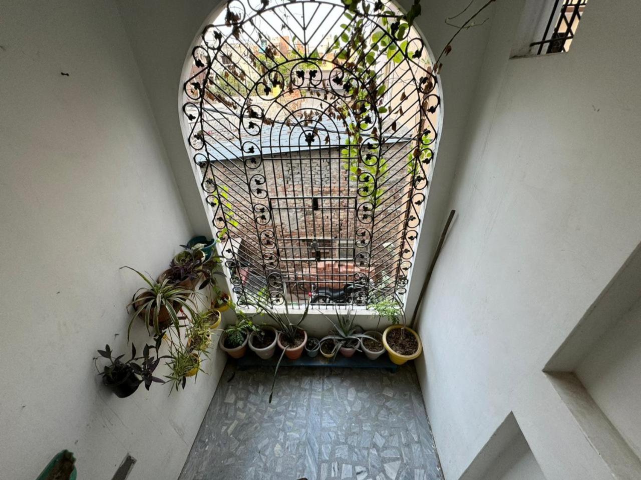 El Profesor Varanasi Exterior foto