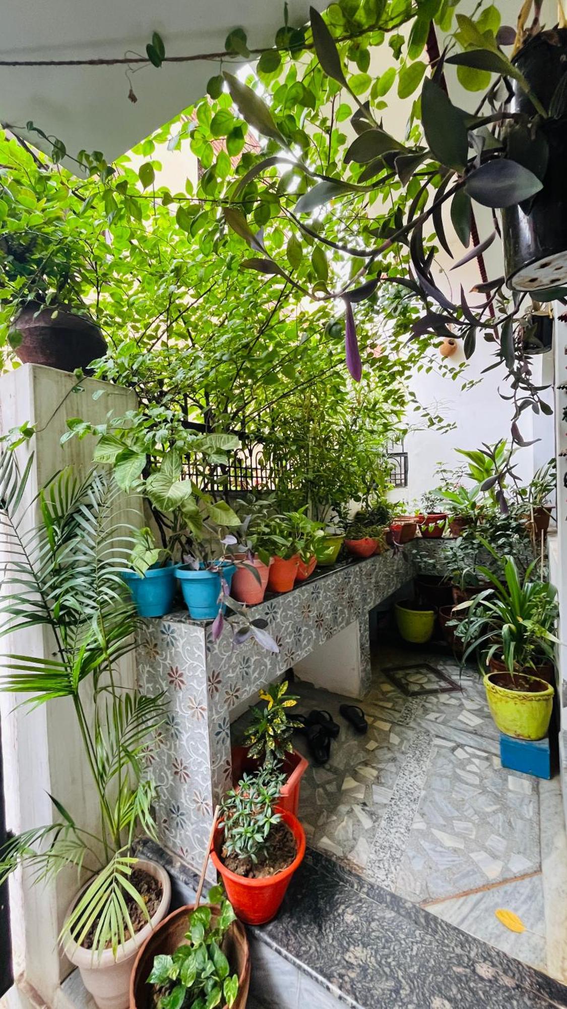 El Profesor Varanasi Exterior foto